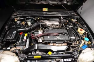 81XjoC6iDFL._UF350,350_QL50_.jpg